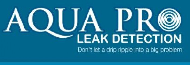 Visit Aqua Pro Leak Detection