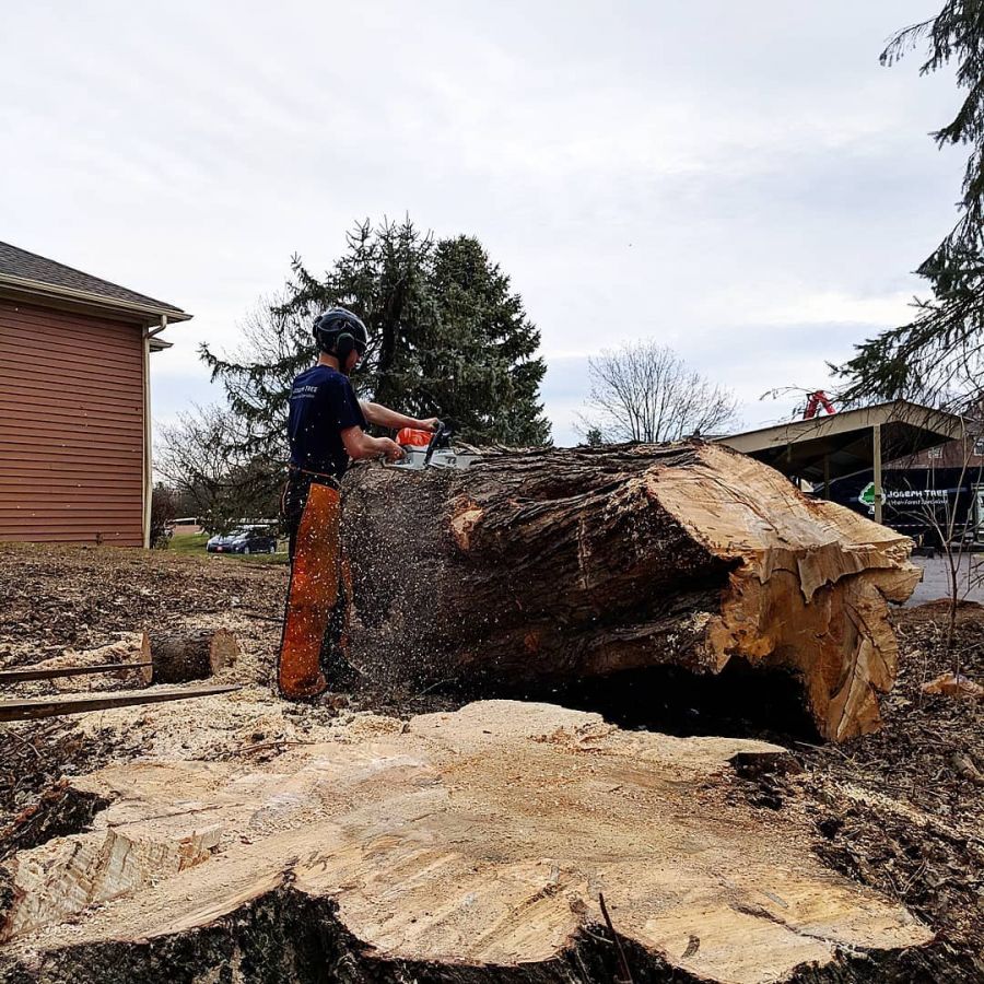 Joseph Tree Home Builder in Dublin, Ohio