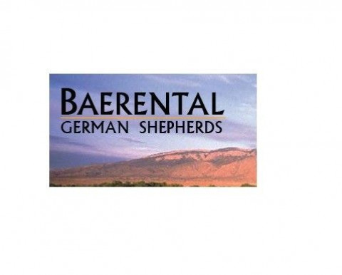 Visit baerental german shepherds
