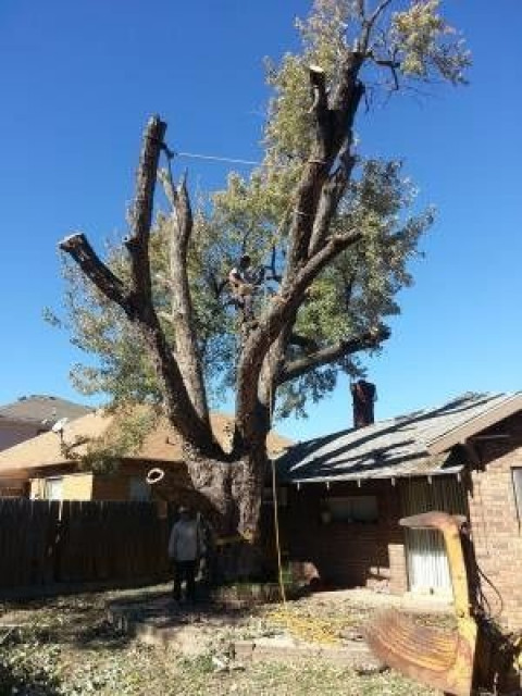 Visit Tip Top Tree Service