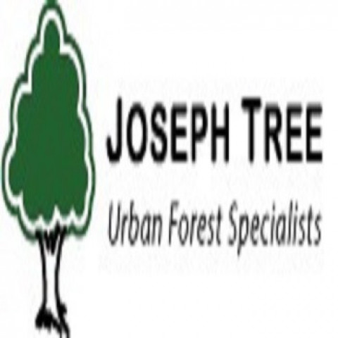 Visit Joseph Tree